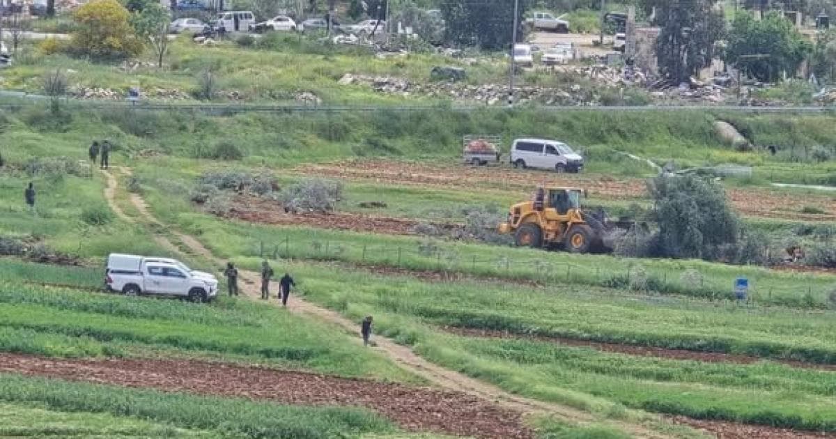 لليوم الثاني: الاحتلال يقتلع عشرات الأشجار المثمرة في اللبن الشرقية جنوب نابلس