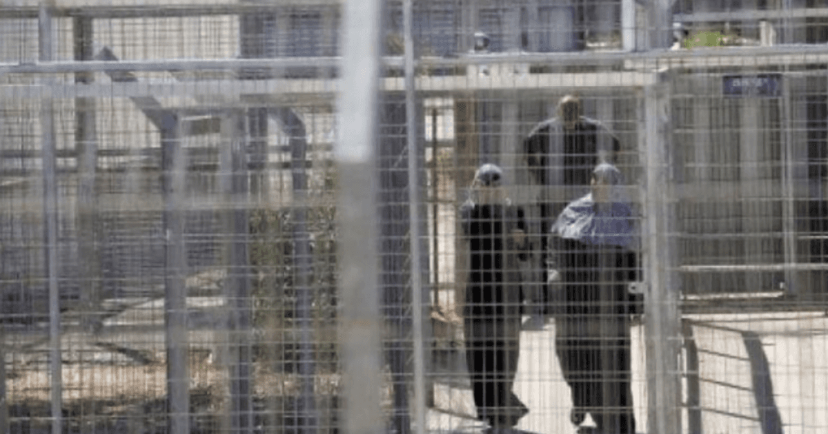 نادي الأسير: ارتفاع عدد الأسيرات إلى 90 أسيرة داخل سجون الاحتلال