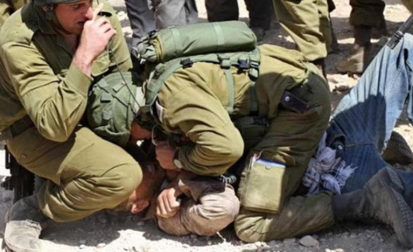 الاحتلال ينكل بعدد من المواطنين بقرية أبو فلاح شمالي رام الله