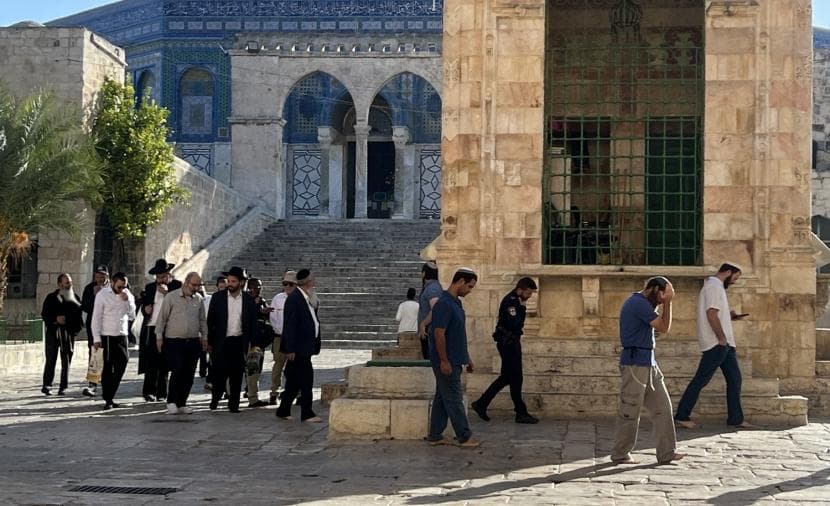 96 مستوطنًا يقتحمون باحات الأقصى