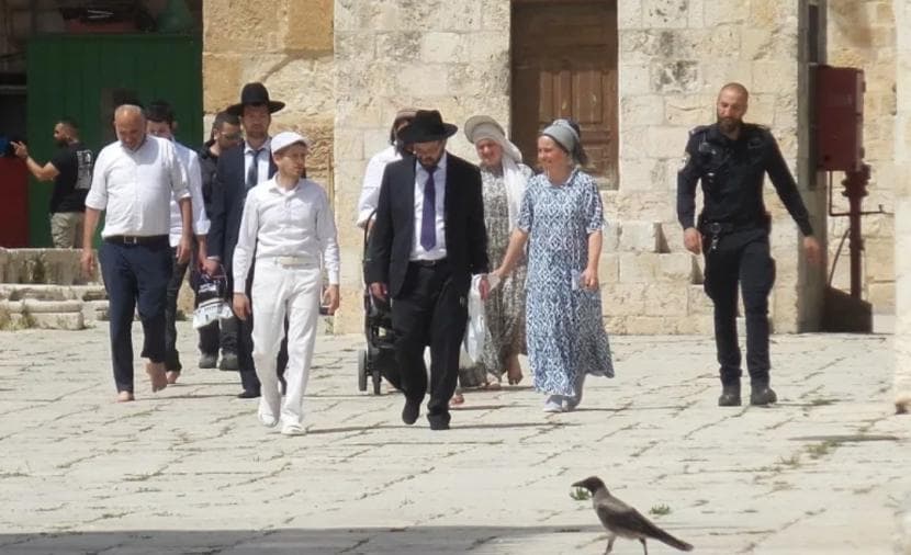 هكذا تُوظف "جماعات الهيكل" منصاتها والذكاء الاصطناعي للتحريض على الأقصى