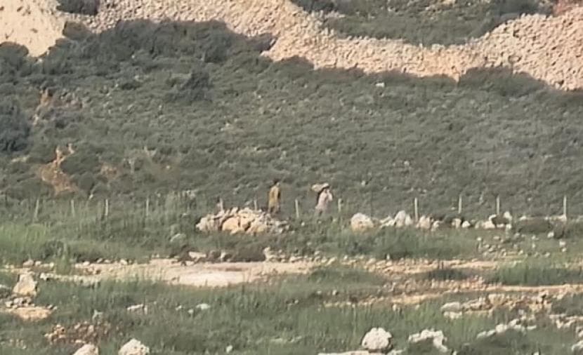 مستوطنون يُسيّجون مئات الدونمات من أراضي الطيبة شرق رام الله