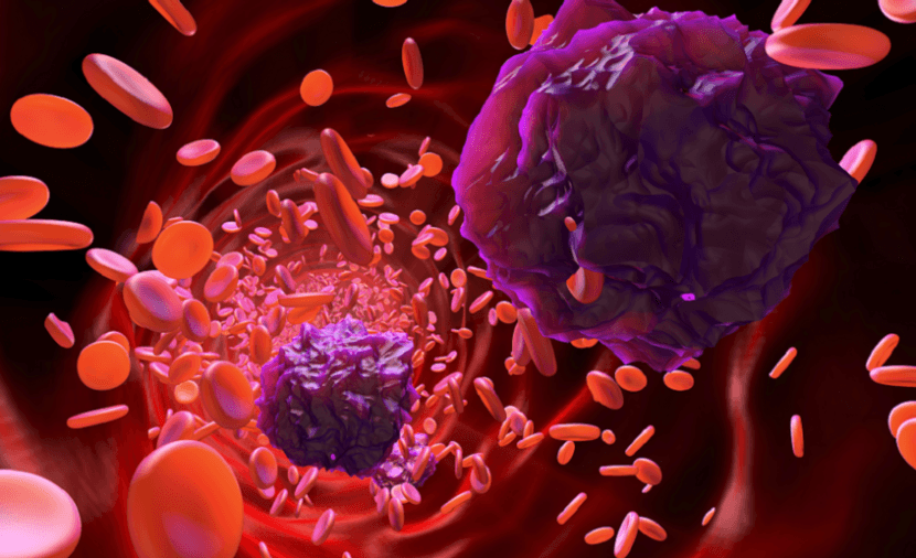 دواء جديد يحمي القلب ويعزز علاج السرطان في آن واحد